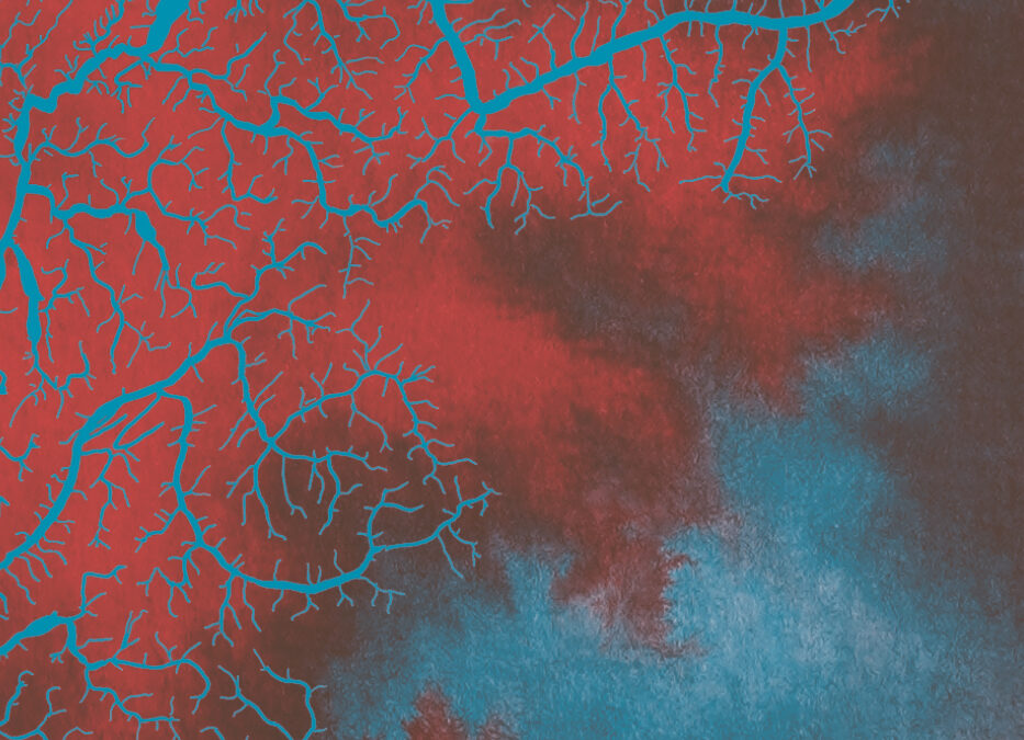 édition cartographique