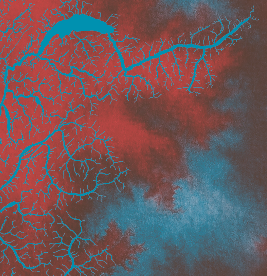 Editions Non Standard